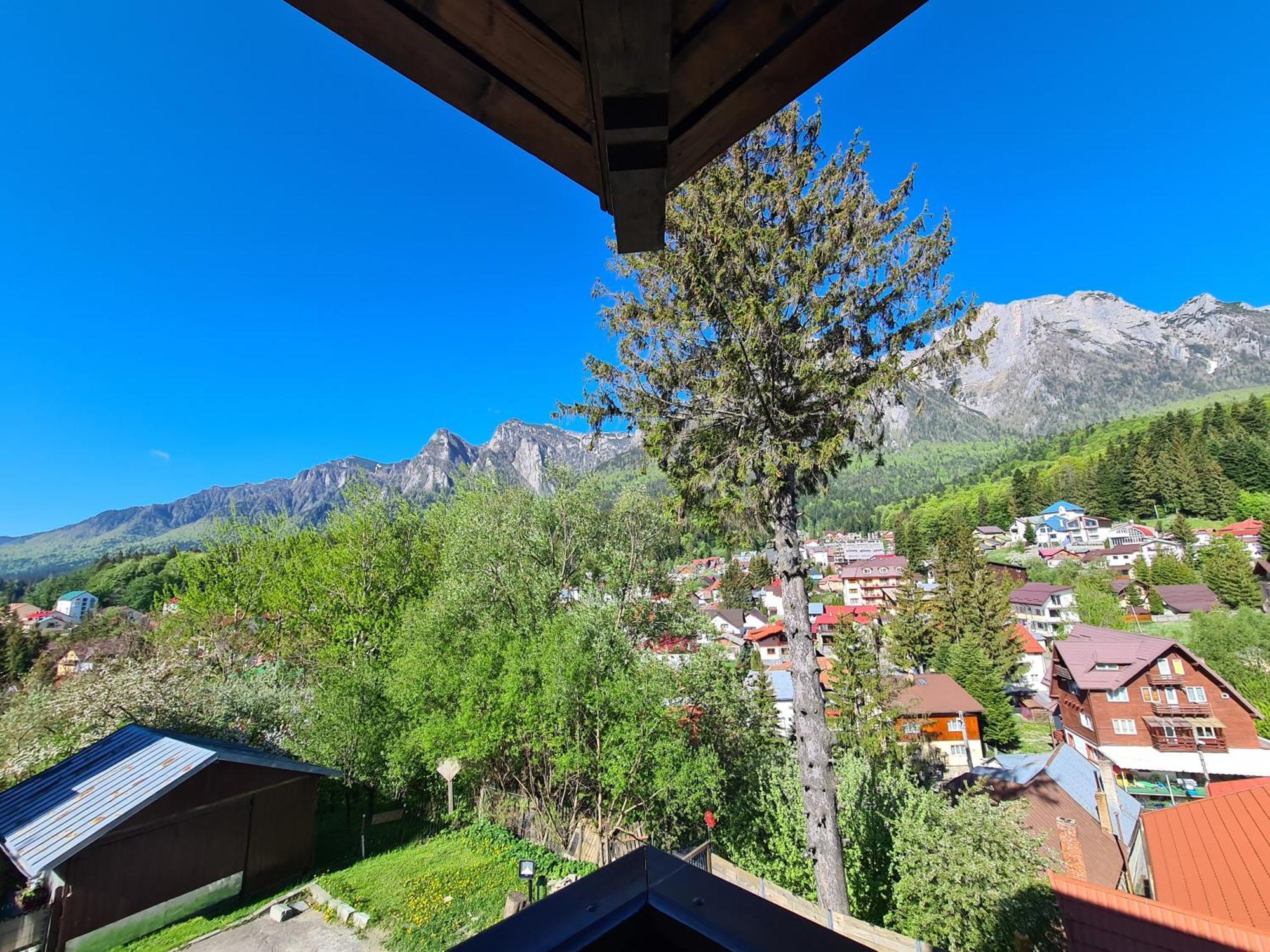 Casa Florescu Buşteni Exterior foto