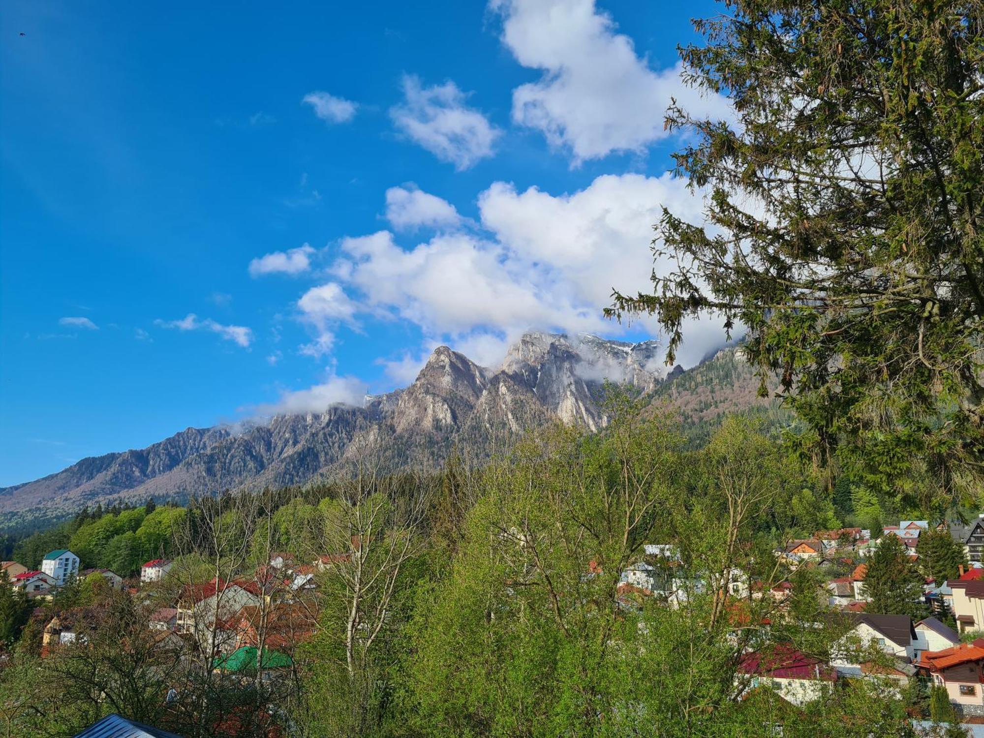 Casa Florescu Buşteni Exterior foto