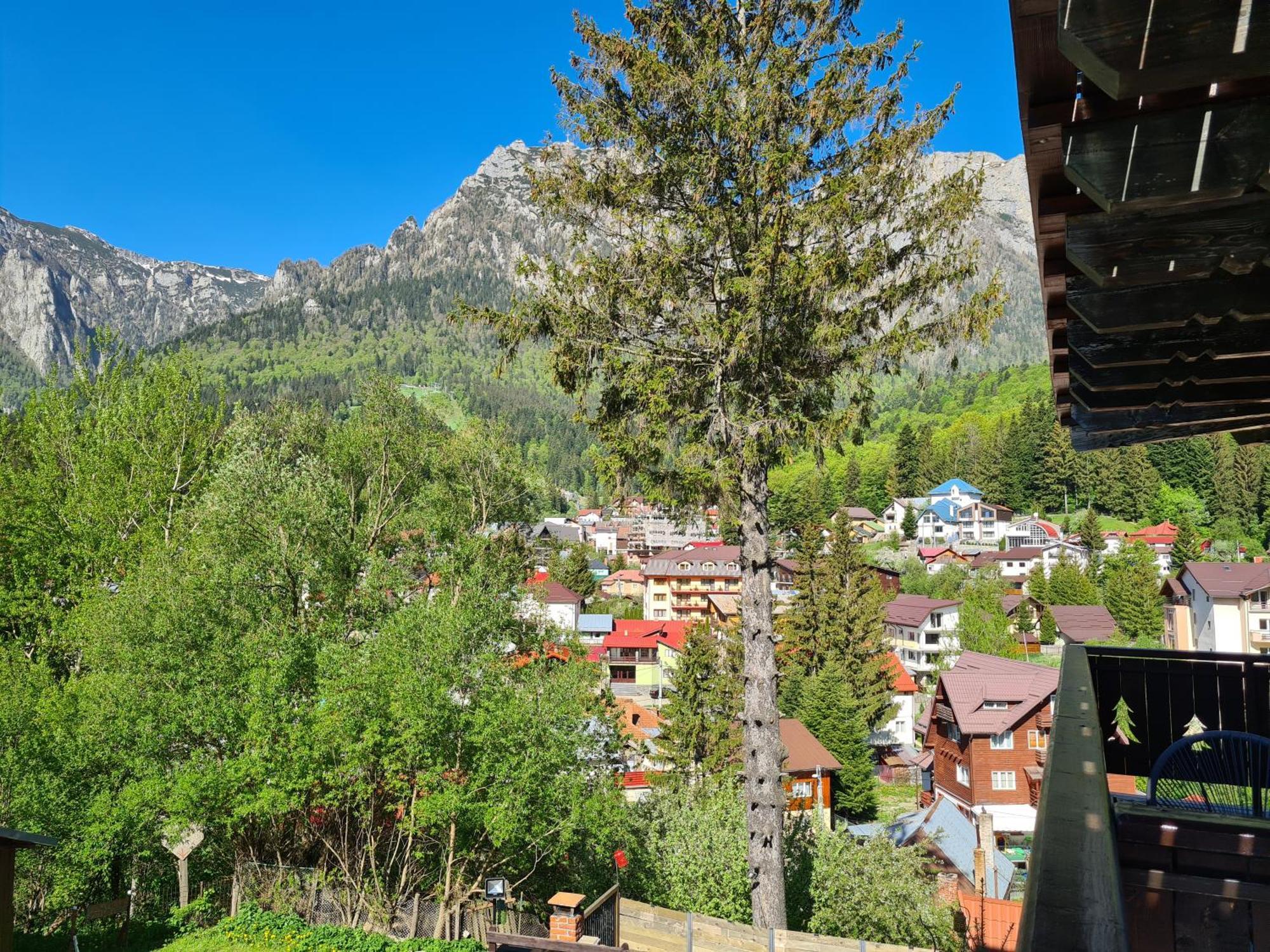 Casa Florescu Buşteni Exterior foto